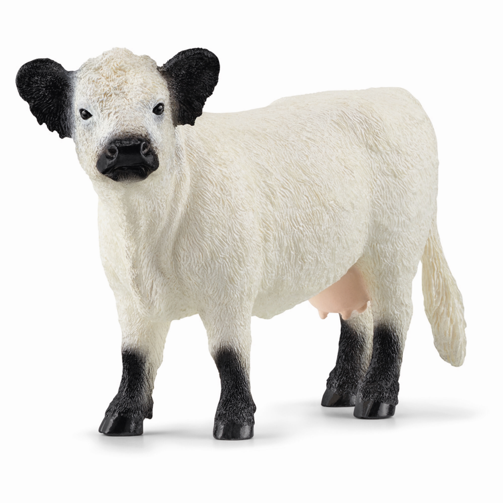 Schleich 13960 - Galloway - Ko - Farm World