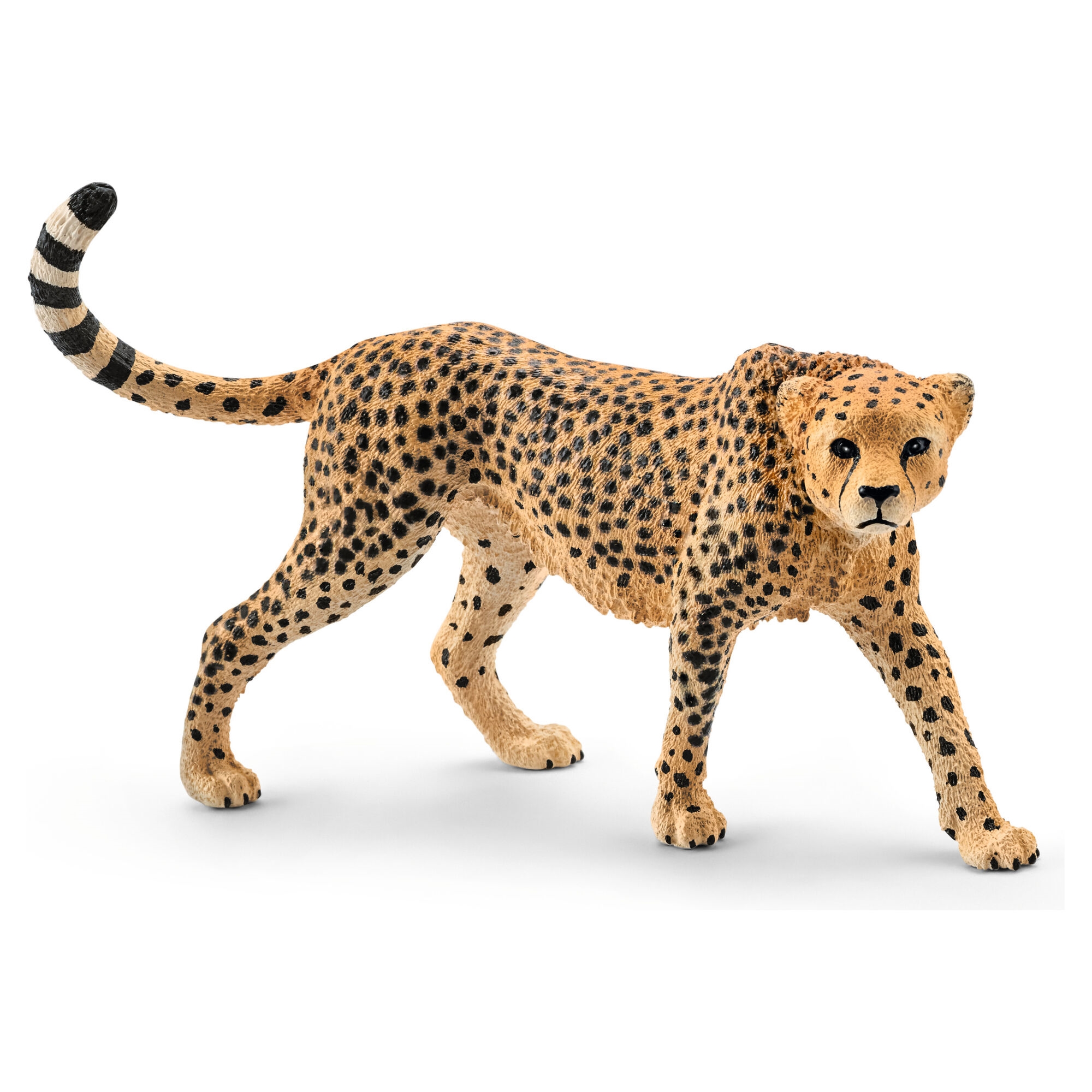 Schleich Wild Life Gepard Dyrefigur - 3+år