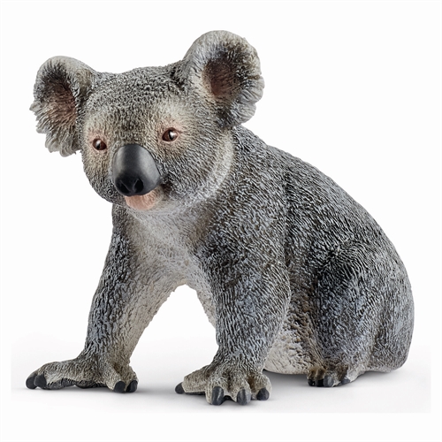Koalabjørn - 14815 - Schleich Wild Life