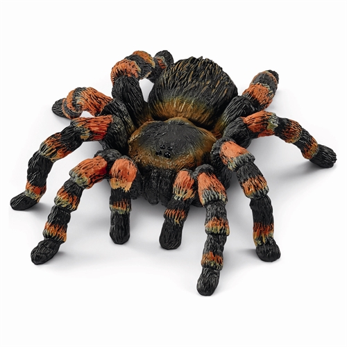 Tarantel - 14829 - Schleich Wild Life