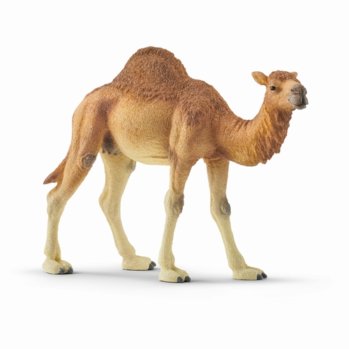 Dromedar - 14832 - Schleich Wild Life