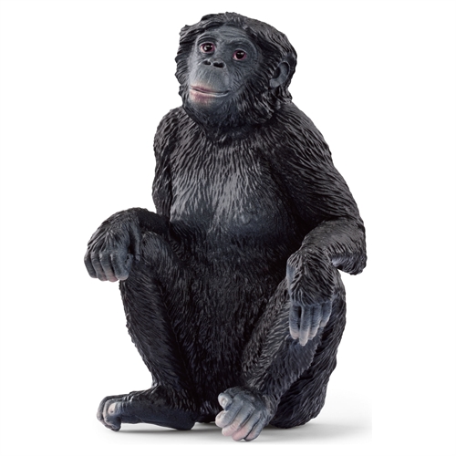 Bonobo Hun - 14875 - Schleich Wild Life
