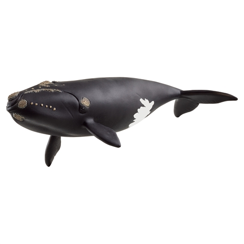 Nordatlantisk rethval - 14878 - Schleich Wild Life