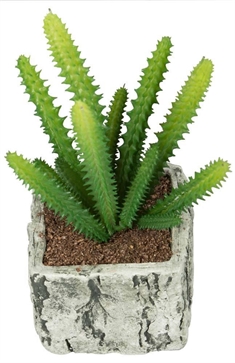 Kunstig kaktus