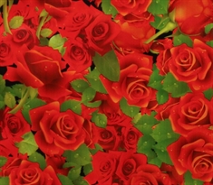 Voksdug 10 meters rulle - Røde roser - 140 cm bred 