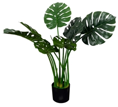 Kunstig Fingerphilodendron Plante - Højde 80 cm - Fyldig med grønne blade - Kunstig gulvplante