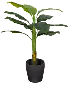 Kunstig Bananplante - Højde 100 cm - 1 stammet med grønne blade - Kunstig gulvplante
