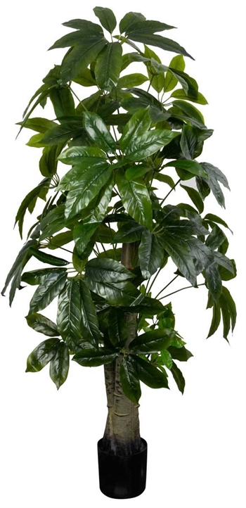 Kunstig Lykkekastanje træ  - 170 cm høj - Store og dekorative blade - Kunstig plante