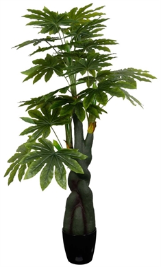 Kunstig Stuearalie træ  - 160 cm høj - Store og dekorative blade - Kunstig plante