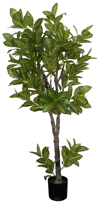 Kunstig Grønt Croton træ  - 180 cm høj - Store og dekorative blade - Kunstig plante
