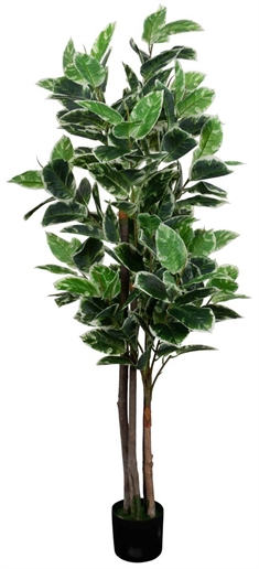 Kunstig Gummitræ  - 170 cm høj - Store og dekorative blade - Kunstig plante