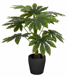 Kunstig Stuearalie Plante - Højde 95 cm - 1 stammet med grønne blade - Kunstig gulvplante