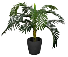 Kunstig Encephalartos Plante - Højde 110 cm - 1 stammet med grønne blade - Kunstig gulvplante