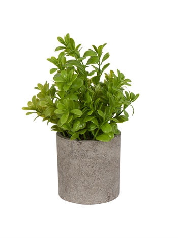 Kunstig plante - Højde 22 cm - Grøn kunstig potteplante 
