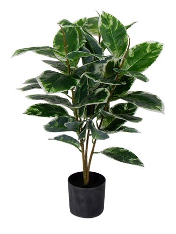 Kunstigt gummitræ - Højde 70 cm - Broget blade - Vedligeholdelsesfri plante 