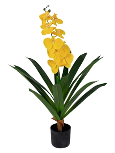 Kunstig Orkidé - 80 cm - Ét grenet gule blomster - Kunstig blomst i sort potte
