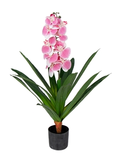 Kunstig Orkidé - 80 cm - Ét grenet pink blomster - Kunstig blomst i sort potte