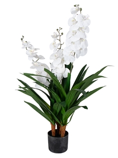 Kunstig Orkidé - 100 cm - 3-grenet - Hvide blomster - Kunstig blomst i sort potte