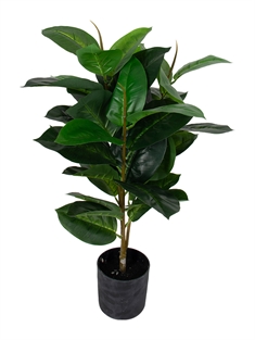 Kunstigt gummitræ - Højde 70 cm - Vedligeholdelsesfri plante 