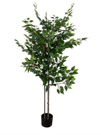 Kunstig stuebirk - Højde 180 cm - Tæt og fyldig stueplante 