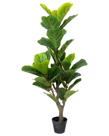 Stueplante i potte - 125 cm høj - Kunstig grøn Violinfigen plante
