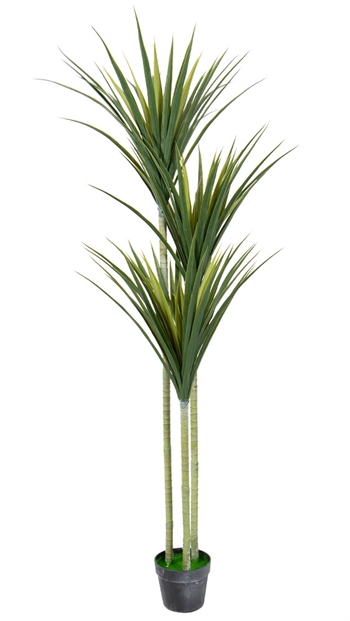 Kunstig 3 stammet palme 160cm høj - Dracaena Marginata palme