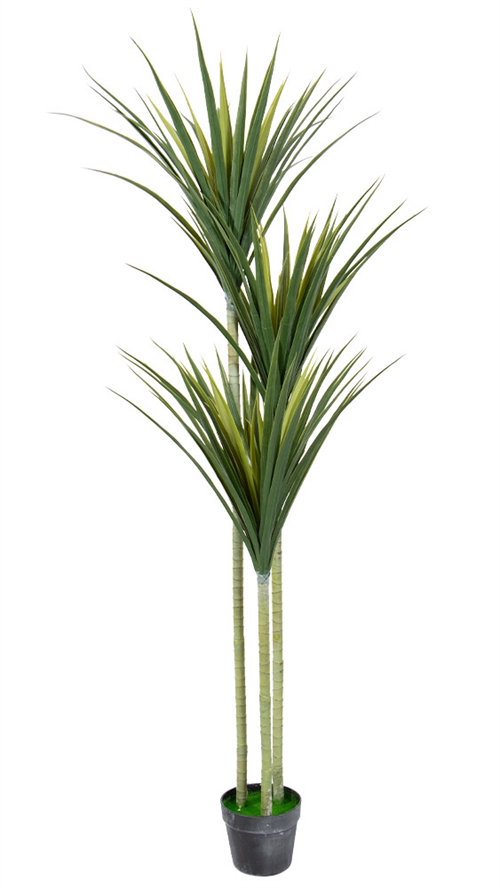 Kunstig 3 stammet palme 160cm høj - Dracaena Marginata palme