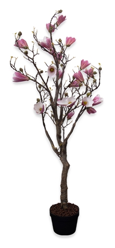 Magnolia træ i lilla - 156 cm - Kunstigt magnoliatræ med flotte blomsterhoveder og knopper 