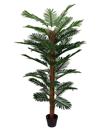 Tropisk palme - 180 cm høj - Kunstig palme mosstok i sort potte - 