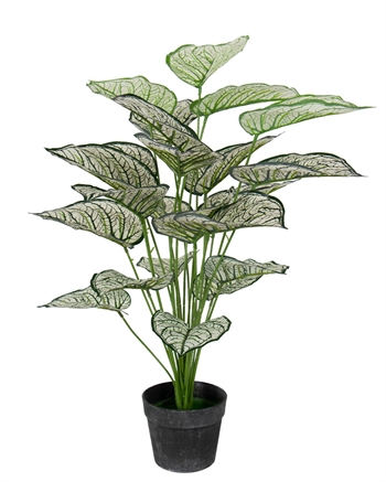 Kunstigt plante 80 cm - Flot Calathea  med hvide og grønne blade