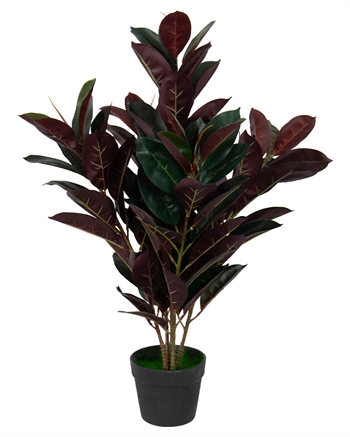 Kunstig gummi plante 80 cm høj - Ficus elastica med rødlige blade